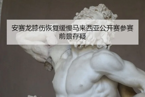an-sai-long-xi-shang-hui-fu-huan-man-ma-lai-xi-ya-gong-kai-sai-can-sai-qian-jing-cun-yi-3-894.jpg