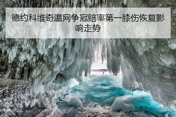 德约科维奇温网争冠赔率第一膝伤恢复影响走势